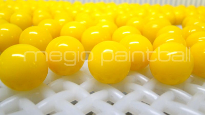 Megio paintball (11).jpg