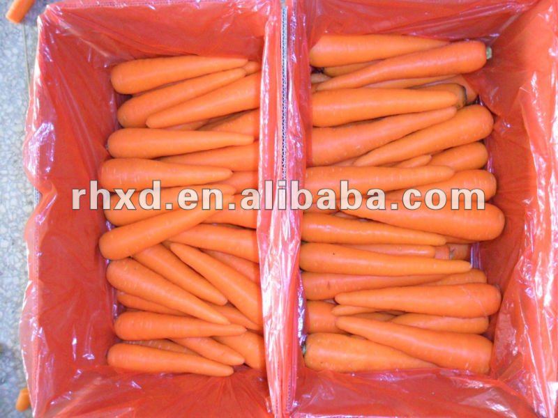 2013 carrot new crop