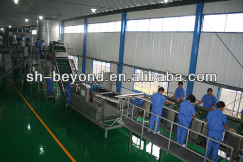 complete set of apple processing line