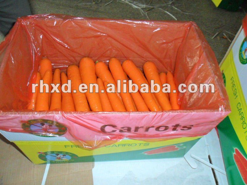 2013 carrot new crop