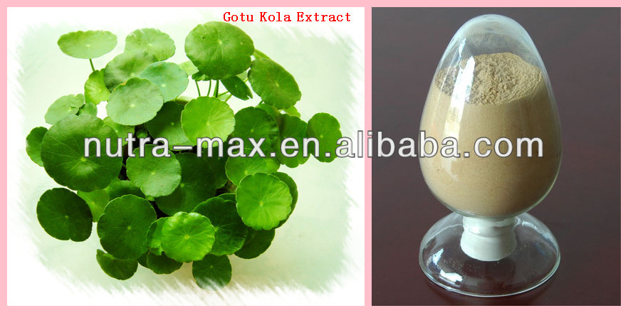 High Quality Gotu Kola Extract Asiaticoside 10%~ 90%--GMP Factory Supply