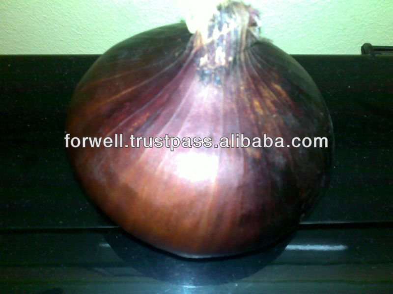 Spring Onion