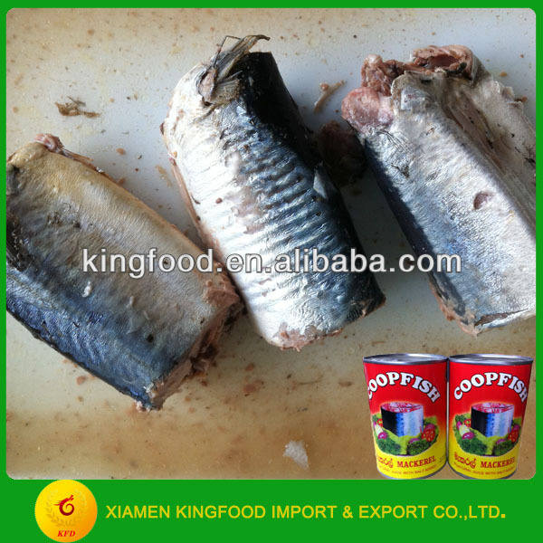 Types of canned fish,China Canned fish price supplier 21food