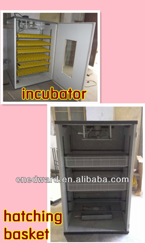  incubation machine PK old EW-8(1326 quail eggs incubation machine