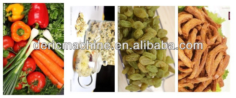 2014 Desiccated Coconut Drying Machine 100--500kg/batch with Reliable Quality