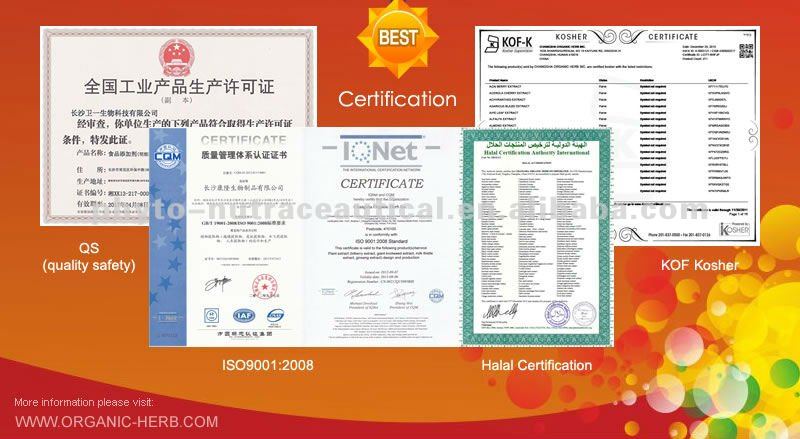 Green tea extract powder 95% polyphenols
