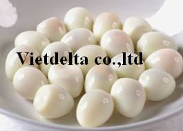 canned quail eggs/eggs/quail eggs