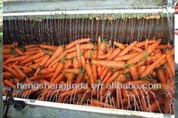 2013 New Chinese Own Farm Fresh Carrot