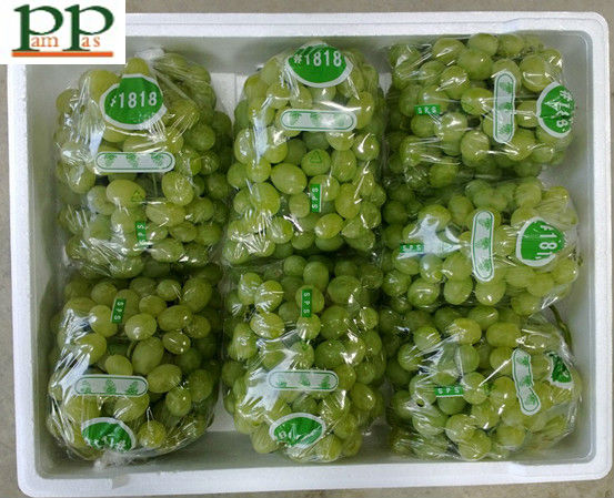 2013 big size green grapes