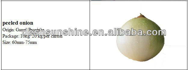bulk small red onions, best price for red onion