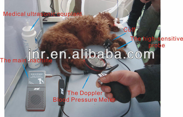 獣医ドップラー獣医ドップラー血圧計血圧血圧動物探知機超音波ドップラーシステム問屋・仕入れ・卸・卸売り
