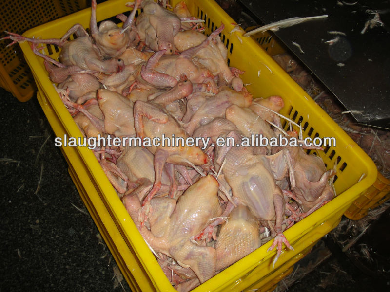 poultry slaughter machine