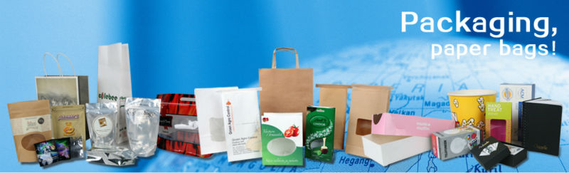cube sugar cookie bags with personal design
