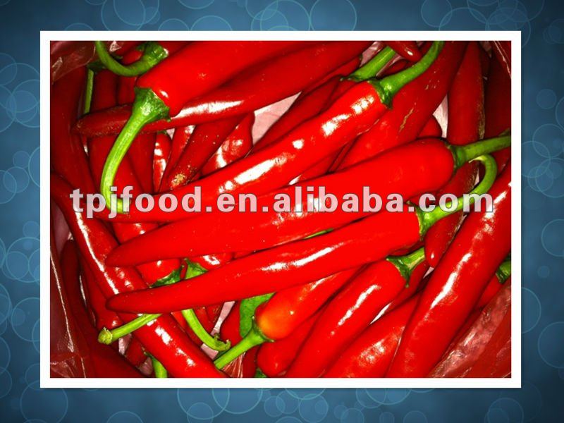 frozen chilli (jinta) iqf chilli in high quality from China