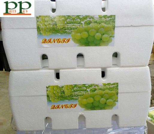 2013 big size green grapes