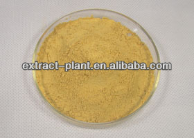 Chinese Green Tea Extract with 95% tea polyphenol