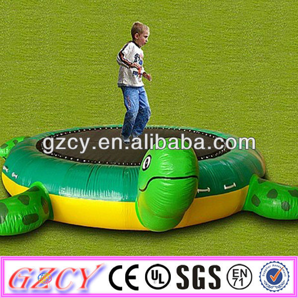 Schildkröte Aufblasbar modernes Event Design Outdoor Anlagen