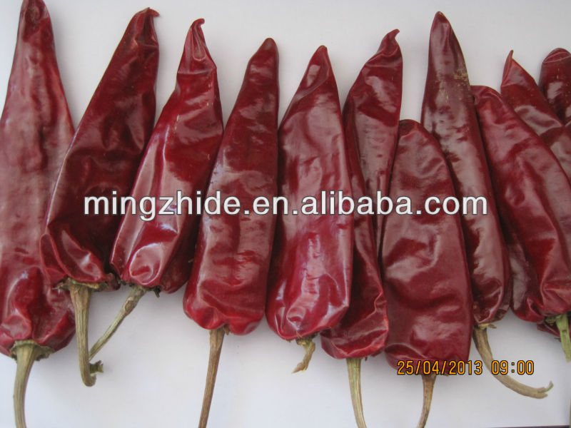 hot pepper,red chilli importers