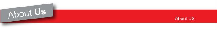 スパゲッティストラップhe03679rd動物のプリントカジュアルドレス2012高いストレッチ問屋・仕入れ・卸・卸売り