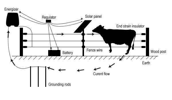 Solar Power Electric Fence Energizers for Farms and Livestock, View