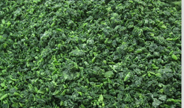 IQF Spinach Pieces with FDA,HACCP,HALAL