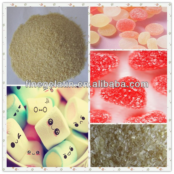 2013 hot sell food gelatin for marshmallow/food grade beef skin gelatin