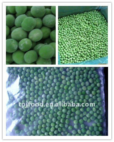 Frozen peas with BRC KOSHER HALAL ISO22000 certificate