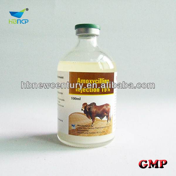 amoxycillin-1
