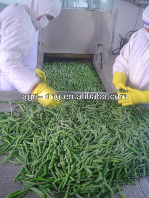 high quality frozen greenhouse green beens for sale