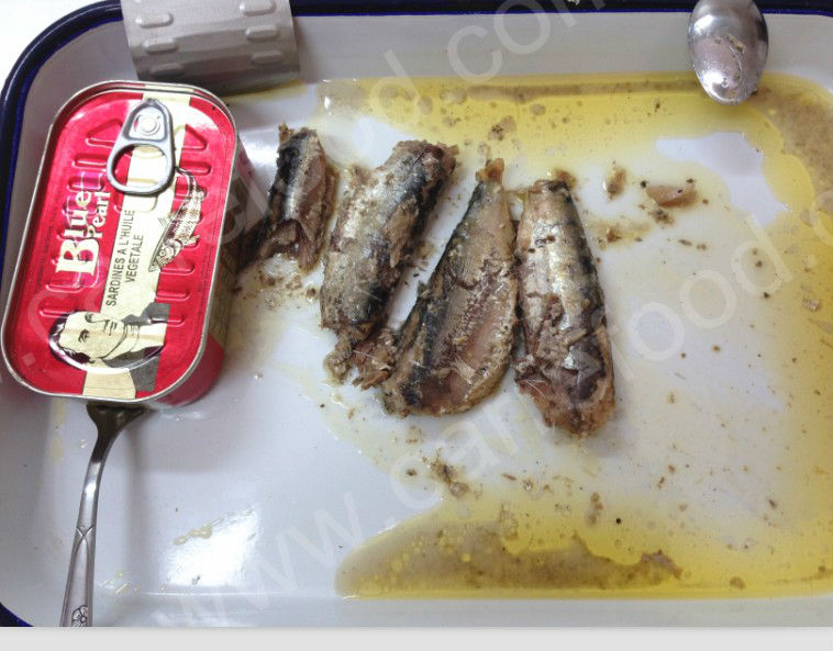 155g /50 canned mackerel with tomato sauce and vegetable oil mackerel canned fish for good taste canned mackerel fish in tomato