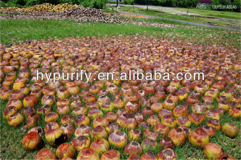 COCONUT SHELL ACTIVATED CARBON for water treatment and purification