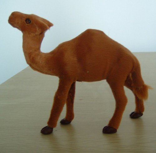 camel 15x12.jpg