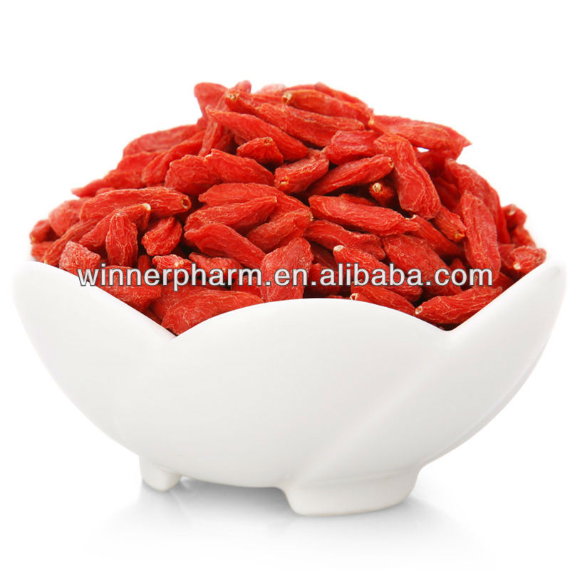 goji berry ,Chinese wolfberry. Lycium chinensis,arbary Wolfberry Fruit Extract(Polysaccharides )