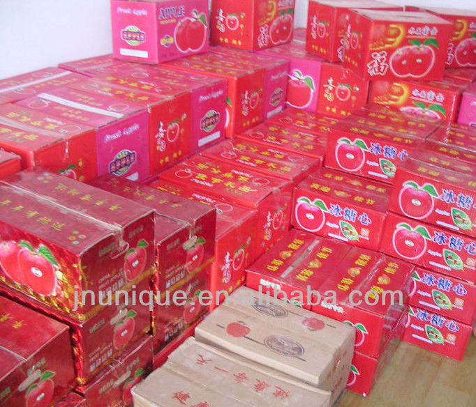 bulk apples,fresh apple fruit for sale