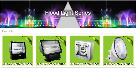 Electrodeless Discharge Lamp light weight fluorescent best quality induction lamp floodlight