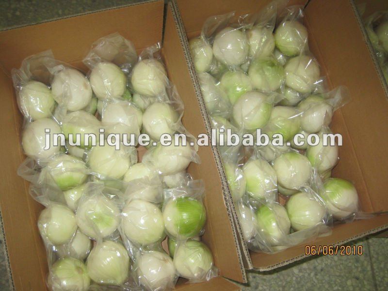 2012 fresh round yellow red onion hot sale
