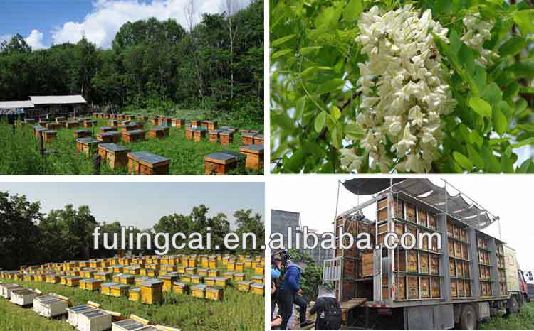 welcom to buy pure honey