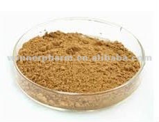 Cinnamon Bark extract/Cinnamomum japonicum Sieb.