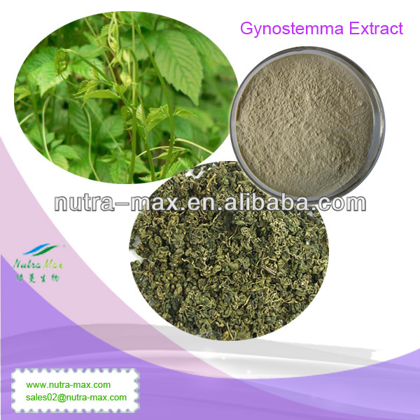 Kosher&Halal--100% Natural Gynostemma Extract Gypenoside 98%