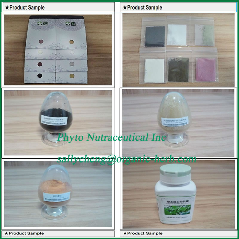 Green Tea Powder Extract