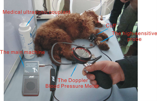 動物の血液メーターのドップラー獣医獣医doopler血圧モニタリング機器血圧キット問屋・仕入れ・卸・卸売り