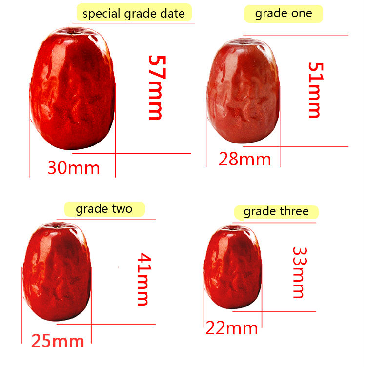 red chinese date dried dates