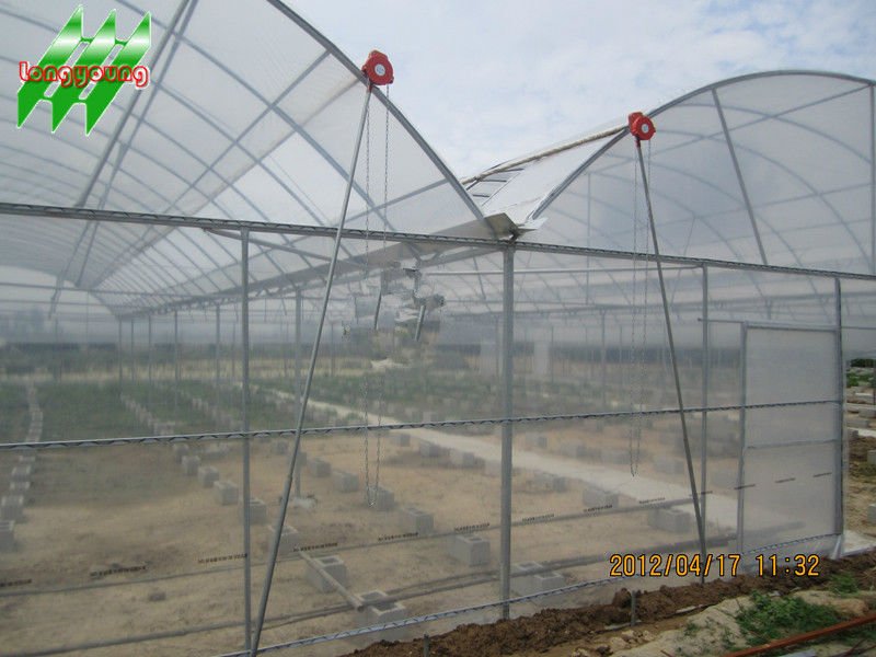 Plastic Multi Tunnel Greenhouse for Agriculture, View Plastic Multi    greenhouse plastic tunnel