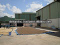 bulk quantity BLACK PEPPER with cheap price