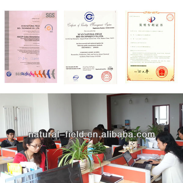 pure luteolin extract luteolin 90%