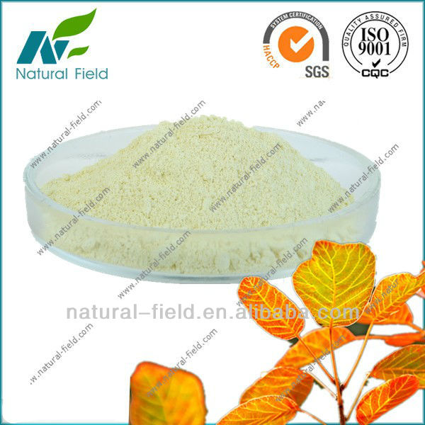 natural smoke tree extract fisetin powder