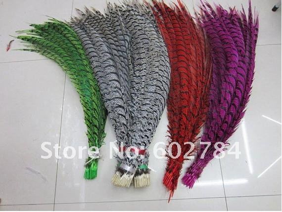 50pcs 30-35inch Dyed Green pheasant tail feather,Lady side tail,Lady amherst side tails,pheasant feather .JPG