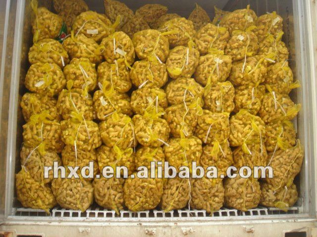 Wet-Fresh ginger to export