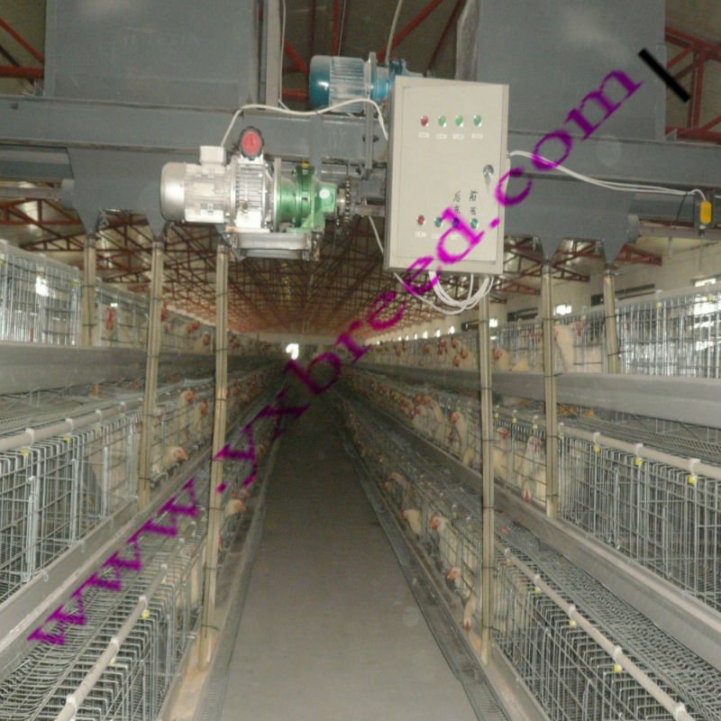 Chicken Layer Cages