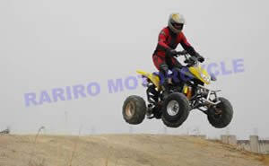 EEC 650CC大きく強力なATV問屋・仕入れ・卸・卸売り